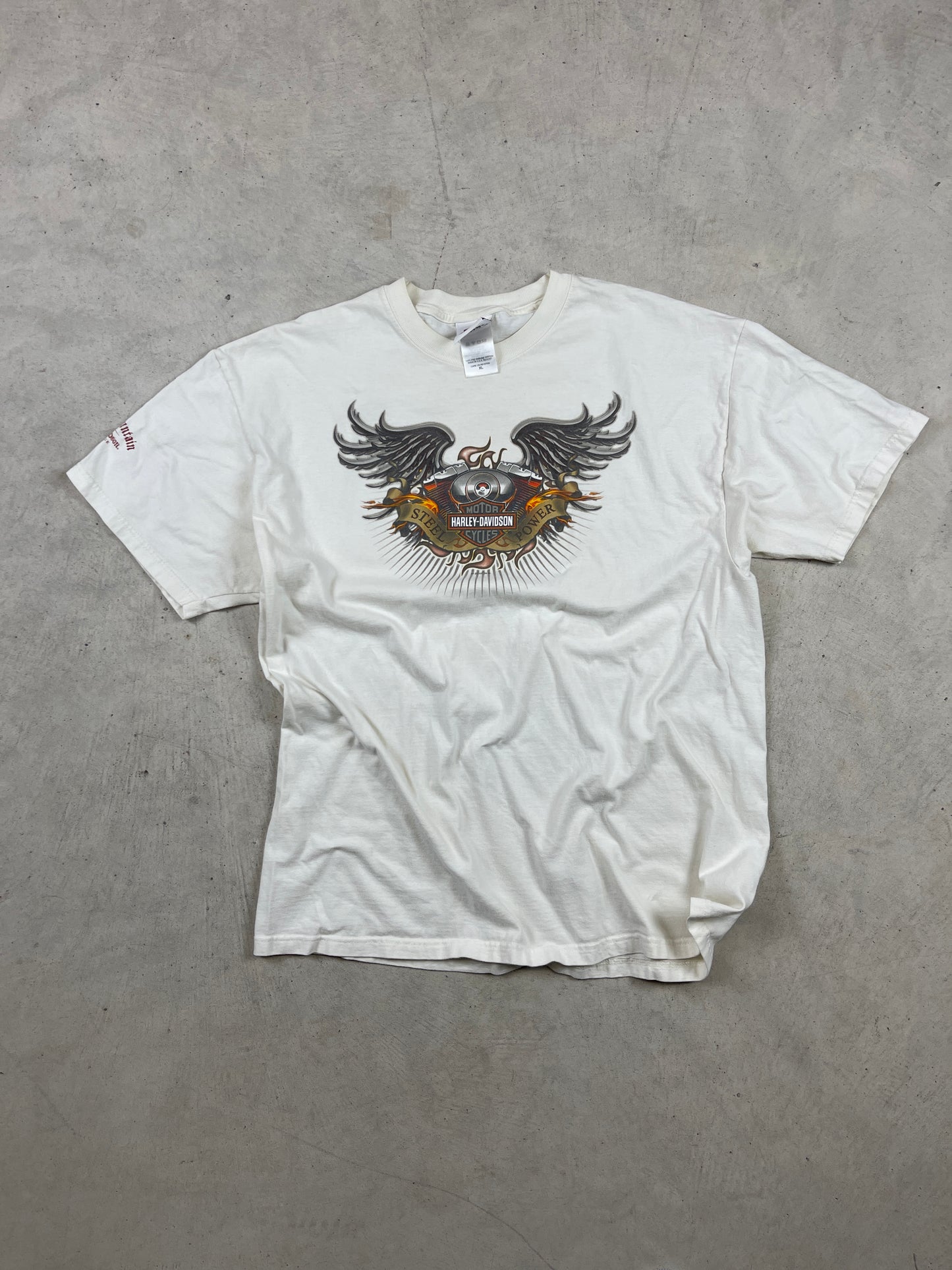 Harley Davidson Flame/Wings Tee